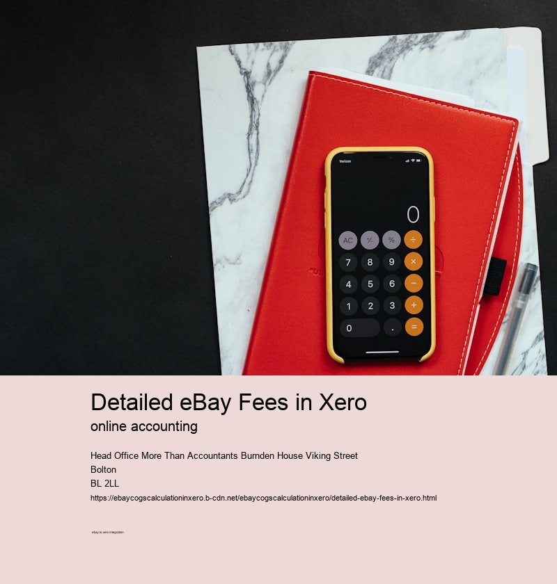 Detailed eBay Fees in Xero