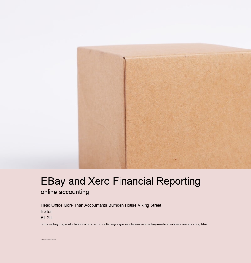 eBay and Xero Financial Reporting