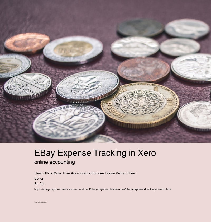 eBay Expense Tracking in Xero