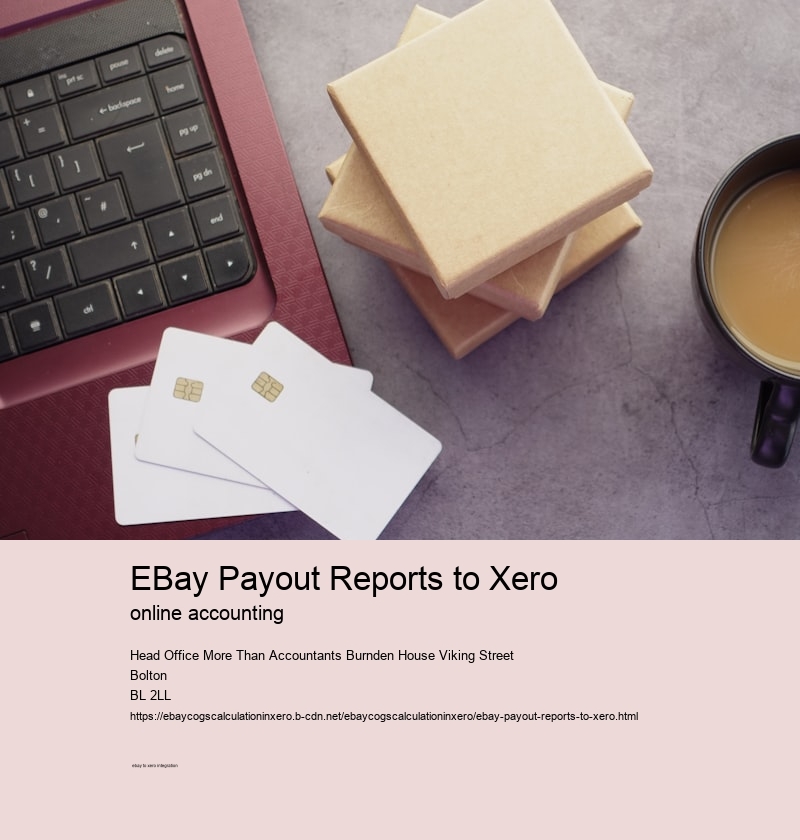 eBay Payout Reports to Xero