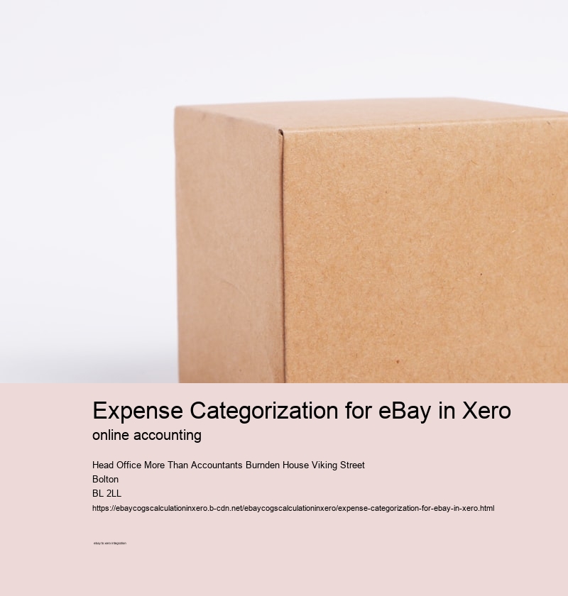 Expense Categorization for eBay in Xero