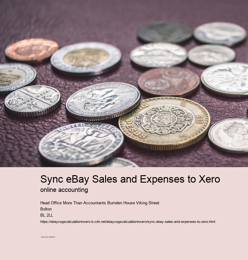 Sync eBay Sales and Expenses to Xero