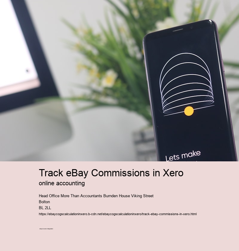 Track eBay Commissions in Xero