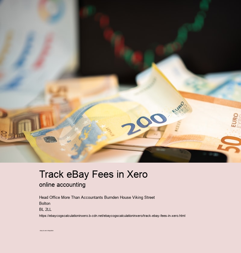 Track eBay Fees in Xero