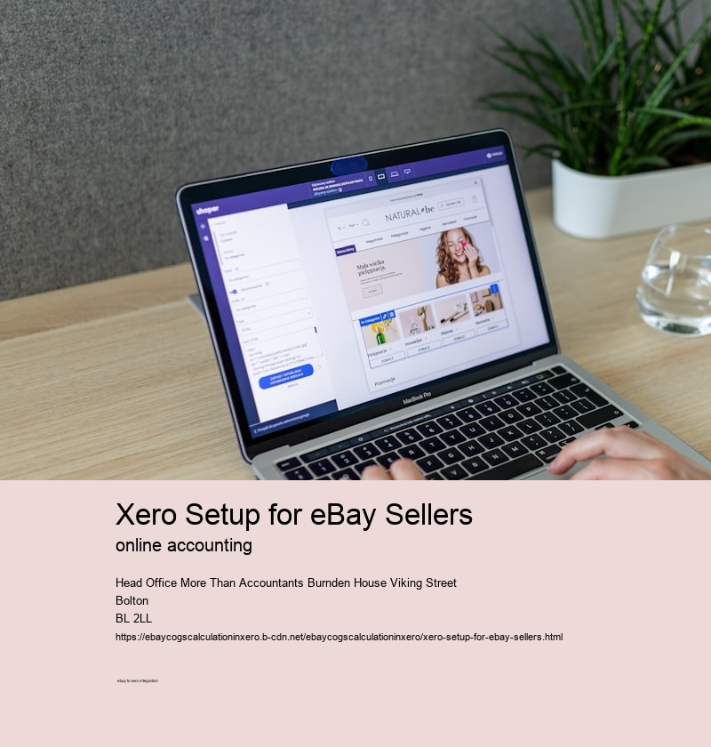 Xero Setup for eBay Sellers